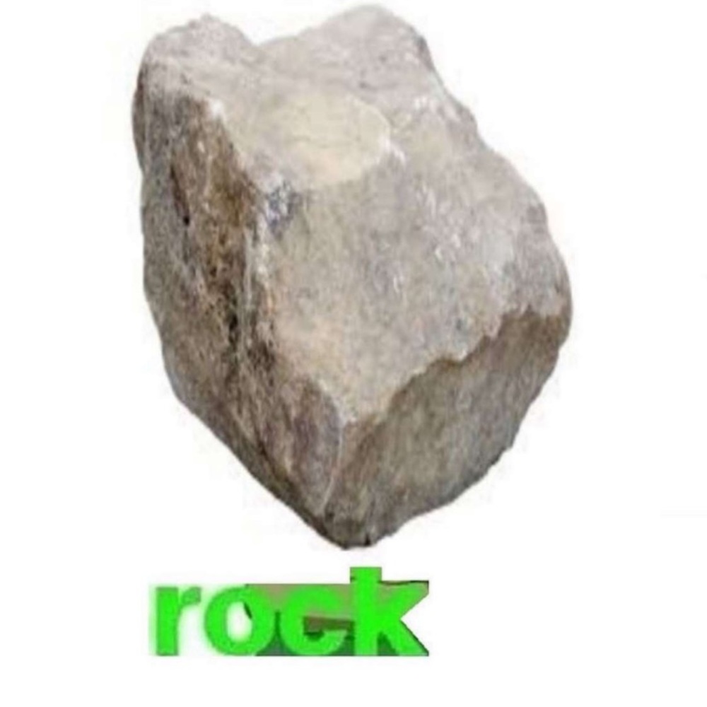 Meet your Posher, Mallory